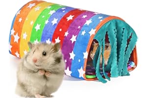 BORDEAG Lot de 2 lits pour cochon d'Inde lavable en peluche pour cochon d'Inde - Lavable - Doux - Accessoire de cage pour hamster - Pour animaux de compagnie - Fournitures d'hiver (couleur arc-en-ciel)