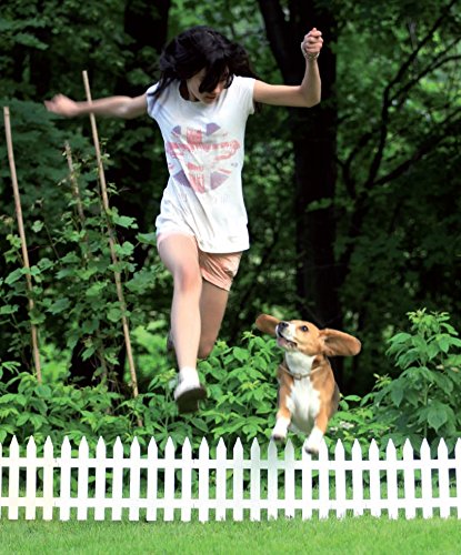 Garten Zierzaun Dekozaun Beeteinfassung Gartenzaun 3,2m (Braun) - 4