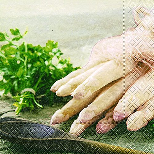 Preisvergleich Produktbild Servietten (2er Set / 40Stück) 3-lagig 33x33cm Spargel (Spargelspitzen)