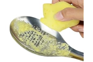 Xrten Cucchiaio Forma grattugia, Ginger Aglio Macinare Cucchiaio in Acciaio Inox Ginger Grattugia Cucchiaio