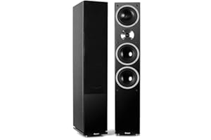 Auna Linie-600-BK Altavoz de Torre - 140 W de Potencia RMS, Altavoces de 3 vías, Diseño Doble Bassreflex, 2 woofer de 16,5cm, Contactos Dorados, Carcasa de Madera, Desmontable, Negro