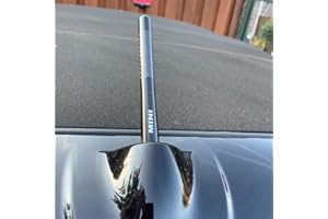 SHIFENG Coque d'antenne FM pour Mini Cooper S R56 R50 F56 R53 F55 JCW R60 R55 R52 R57 R58 R59 F57 Clubman 12 cm, Noir