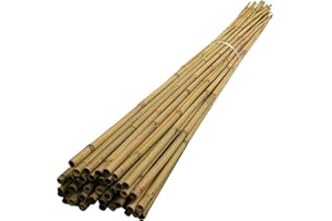 HAZIQ 15 x 6FT (14-16mm) Bamboo Garden Canes/Stake/Pole Garden Plant Flower Support Sticks Outdoor/Indoor Plants Support Natural Strong (Pack Of 15)