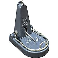 Black Cat Standard Rat Trap:Mouse Catch (Grey, 1)