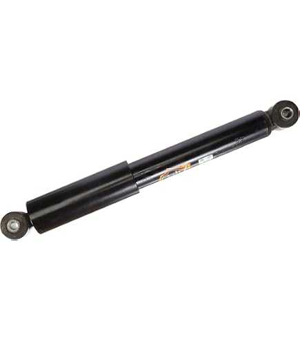Kit 2 Ammortizzatori Posteriori RIDEX 854S1887 A Pressione Gas Per Fiat Panda E Lancia Ypsilon - 6