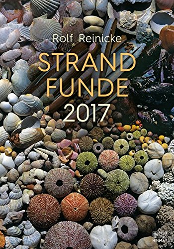 Preisvergleich Produktbild Strandfunde 2017