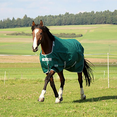 Preisvergleich Produktbild Bucas Turnout Light Tanne - 145 L