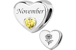 ZakiaHo Birthstone Charms for Bracelets Heart Birth Month Flower Birthday Gifts for Women Compatible with Pandora Charms Bracelets