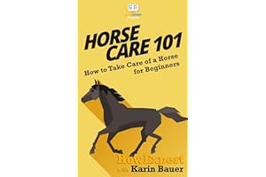 Horse Care 101: How to Take Care of a Horse for Beginners