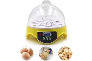 MUYIRTED Incubadoras De Huevos Automaticas De 7 Huevos, Pantalla Digital Led, Huevo Incubadora Para Gallinas Pollos Patos Codornices Reptiles, Tortugas, Pájaros