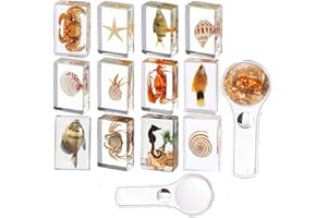 KSVMOAG 12 Pcs Océano Animal Insecto en Resina Especimenes Bichos Colección Pisapapeles,Kit de Bichos Verdaderos Preservados en Resina para Suministros de Exhibición Educativa Científica (Océano)
