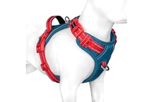 PHOEPET Dog Harness No Pull, Escape Proof Adjustable Vest, Reflective Choke Free Harness with Easy Control Handle for Small Medium Large Dogs Walking and Training(Teal Base & Red Straps,S)