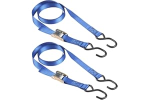 Master Lock 4368EURDAT Cinghie di Fissaggio con Moschettone, Blu, 2 m x 25 mm, Set di 2 Pezzi