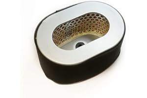 HOLZER Filtro aria Diesel 1 cilindro/LIFAN 186 motore diesel/cartuccia filtro aria per Yanmar L100 Diesel trattore motore 186F 186FA 10PS 11PS 12PS Generator