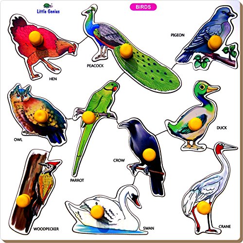 Little Genius Crow Birds Tray with Big Knob (Large),Multicolor