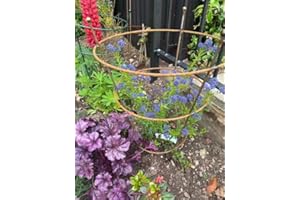 GAP GARDEN PRODUCTS Metal Small Peony Plant Support (pack of 1) Bare metal finish that will age over time to give a rustic patina finish. Ideal for Peonies, Delphiniums, Lupins etc.