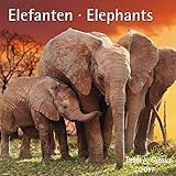 Elefanten Elephants 2017 - Broschürenkalender - Wandkalender - mit herausnehmbarem Poster - Format 30 x 30 cm by 