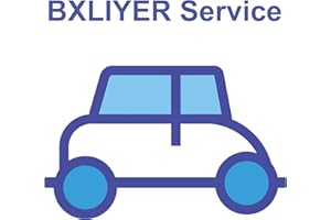 BXLIYER Servicio de soporte técnico