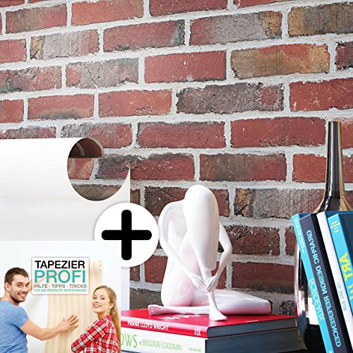 Steintapete Vliestapete Rot Grau , schöne edle Tapete im Steinmauer Design , moderne 3D Optik für Wohnzimmer, Schlafzimmer oder Küche inklusive Newroom Tapezier Profibroschüre, mit Tipps für perfekteWände