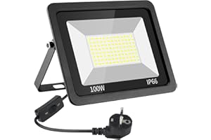 Eleganted proyector LED fuera de 100W, superhell 10000LM LED reflector de reflector LED con enchufe 6500K Frío Blanco Builder Sheider IP66 Piedra impermeable para Hof Garage Sportplace