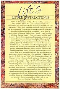 Lifes Little Instructions - Inspirational Posters - 24 x 36: Amazon.co