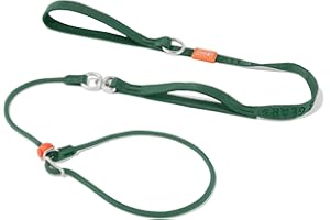 Howgo Dog Slip Lead Dog Leash, Training Leash, No-Pull Lightweight Slip Lead and Collar, Heavy Duty & Durable, Padded Handle, for All Breeds (Green, 5.5FT)