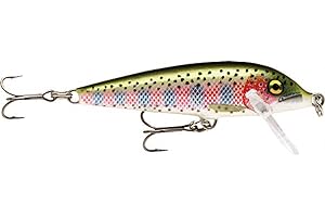 Rainbow Trout