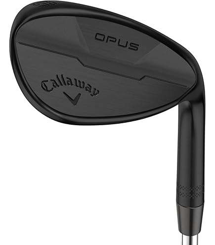 Callaway Golf Jaws Raw Wedge, Right Handed, Black Finish, 48