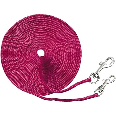 Hoanan Hunde- & Katzenleine – 3,6 M / 6,1 M / 9 M, Für Kleine Tiere Bis 15,9 Kg, Leicht & Ausbruchssicher