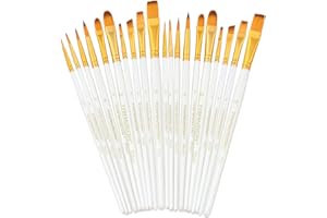 Transon 20pcs Art Painting Brush Set for Acrylic Watercolor Gouache Hobby Craft Face Rock Painting