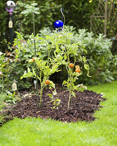 Windhager Tomatenspiralstab glanzverzinkt, 150 cm - 4