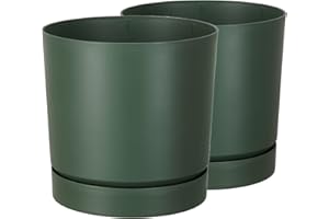 ‎TYMAR Tymar Blumentopf mit Untersetzer, 2er-Pack, dekorativer Pflanzentopf aus Kunststoff, Moderne, Runde Form, für Innenräume (ø 13 cm, (2pack) Grün)