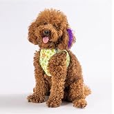 Pawstar Avocado Air-mesh G&ouml;ğ&uuml;s Tasması Kedi K&ouml;pek G&ouml;ğ&uuml;s Tasması Small