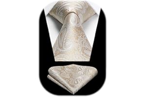 HISDERN Paisley floral lazo de la boda Panuelo Hombres Corbata & Plaza de bolsillo Conjunto