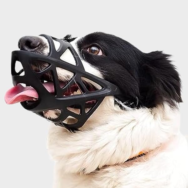 Baskerville Ultra Dog Muzzle Baskerville Dog Muzzle Size 8, Lets
