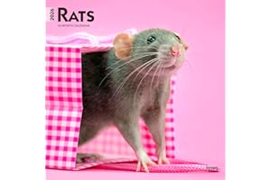 Rats – Ratten 2026 – 16-Monatskalender: Original BrownTrout-Kalender [Mehrsprachig] [Kalender]