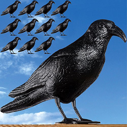 Taubenschreck Krähe schwarz – 3x - 3