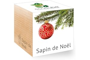 Feel Green Ecocube Sapin de Noël (Épicéa), Idée Cadeau (100% Ecologique), Grow-Your-Own/Kit Prêt-à-Pousser, Plantes Dans Des Cubes En Bois 7.5cm, Produit En Autriche