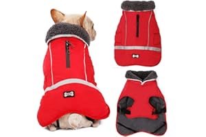 JRANTER Waterproof Windproof Dog Cold Weather Coats-Warm Dog Clothes Clothing Jackets for Small Large Medium Girl Boy Outdoor Indoor Activities (red, Medium)