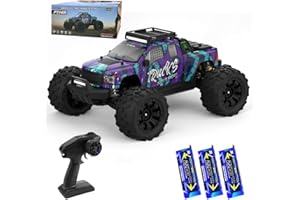 X-Verse Zdalnie sterowany samochód 1:14, 100 km/h, 4WD, wodoszczelny samochód RC z silnikiem 3S, 2,4 GHz All Terrain Offroad, RC Truck Truggy dla dorosłych, 3 baterie (fioletowy)