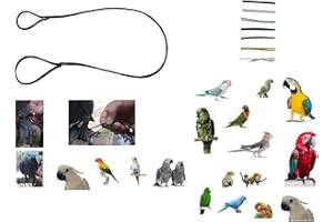 BLUSUPERSHOP guinzaglio laccio elastico CORDA 3MM x 1 M DA COCORITE AD ARA DA INSERIRE alla ZAMPA DEL TUO PAPPAGALLO per portarlo IN GIRO, per tutte le razze (nero)