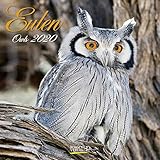  Eulen 2020: Broschürenkalender mit Ferienterminen. Eulen, Jäger der Nacht. 30 x 30 cm