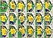 Produktbild Adrenalyn XL FIFA World Cup 2018 Full 18 Karte Brasilien Team Set