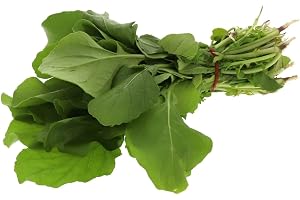 Fresh Jerger Leaves Bunch Local