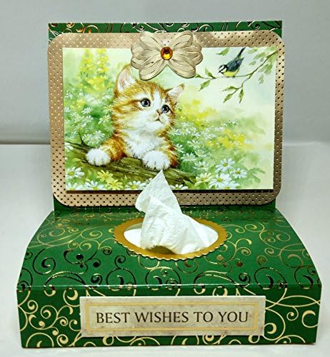 Decorative Tissue Box Cover/Gift - Cat/Kitten with Tissues