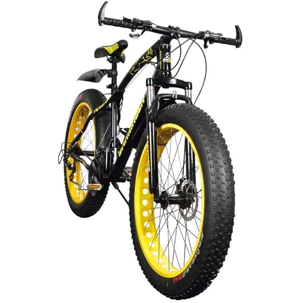 Buy R Cycles 26T 21 Speed Fat Tyre Bike (Bold Black) Online at Low Prices  in India - Amazon.in