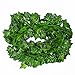 Produktbild Katech 12 Stück Fake Aufhängung Rattan Kletterpflanze Blätter Girlande grün künstliche Pflanzen für Home Zimmer oder Outdoor Yard Garten Wand Dekoration im Innenbereich Ivy leaves