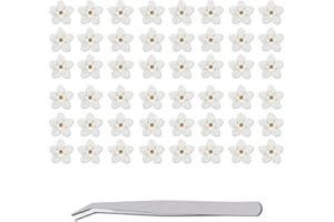 WJIAEER 40PCS Flores secas naturales Forget-Me-Nots Flores secas reales para repujado de resina con pinzas de codo (flores blancas)