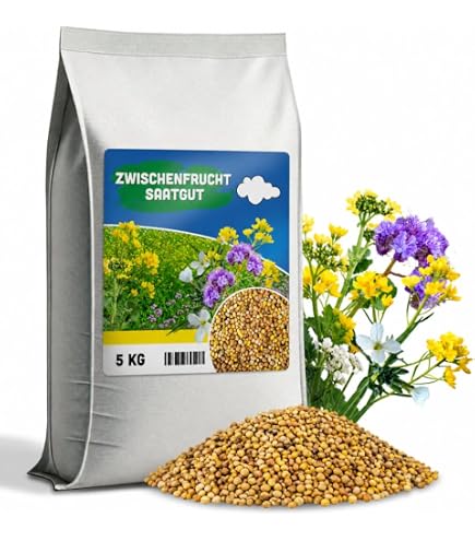 Freudenberger Weier Senf Gelbsenf 25 kg Grndngung Zwischenfrucht  Grndnger Bodenaktivator : Amazon.de: Garten
