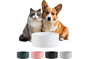 PTOBER Ceramica Bebedero y Comedero Perro Antideslizante - Cuenco para Perros Pequeño y Mediano Ideal para Comida y Agua - Bebedero Gatos Apto para Gatos Grandes - 15 cm - 320 g / 720 ml - Blanca